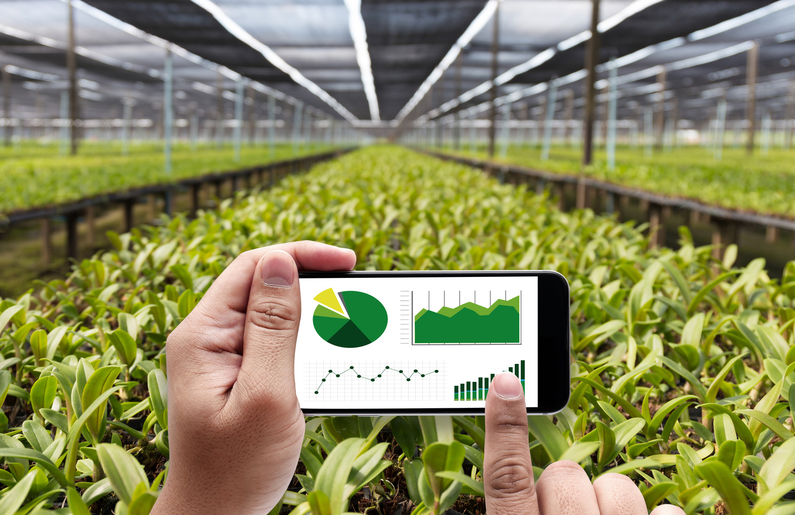 agriculture technology concept man Agronomist Using a Tablet in an Agriculture Field read a report